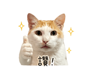 838570737