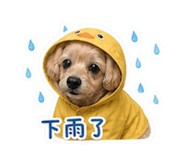 838571195