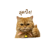 838573777