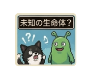 838574265