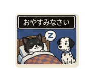 838574284
