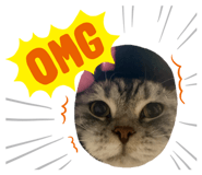 838574814