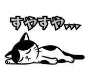 838575653