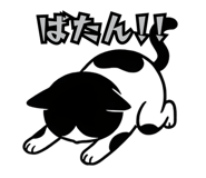 838575654