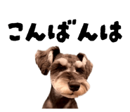 838575852