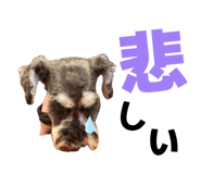 838575877