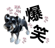 838575883