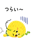 838575991