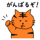 838576223
