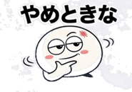 838576255