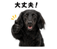 838576451