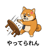 838576755