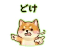 838578962