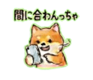 838578976