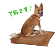 838579138