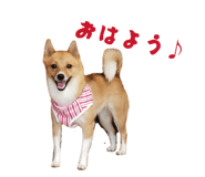 838579139