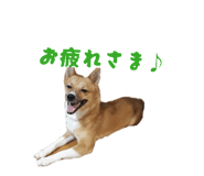 838579143