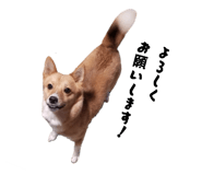 838579144