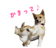 838579146