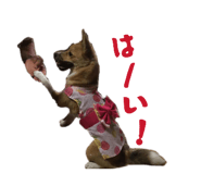 838579147