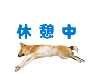838579154