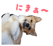 838579158