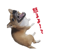 838579159