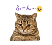 838580273