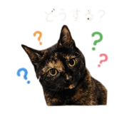838580278