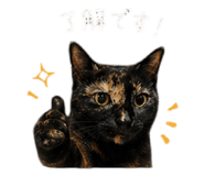 838580280