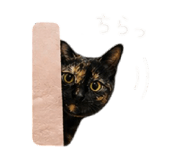 838580281