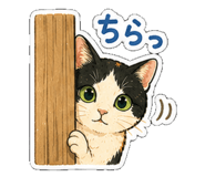 838582338