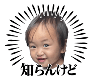 838582505