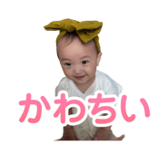 838582511