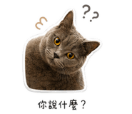 838583770