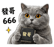 838584278