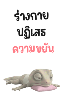 838589044