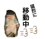 838600198