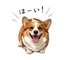 838619058