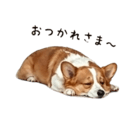 838619060