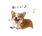 838619061