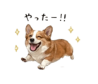 838619064