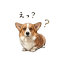 838619065