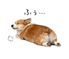 838619070
