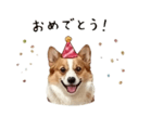 838619074