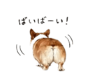 838619079