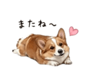 838619080
