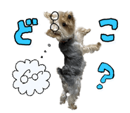838630090