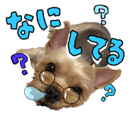 838630094