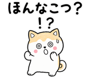 838633207